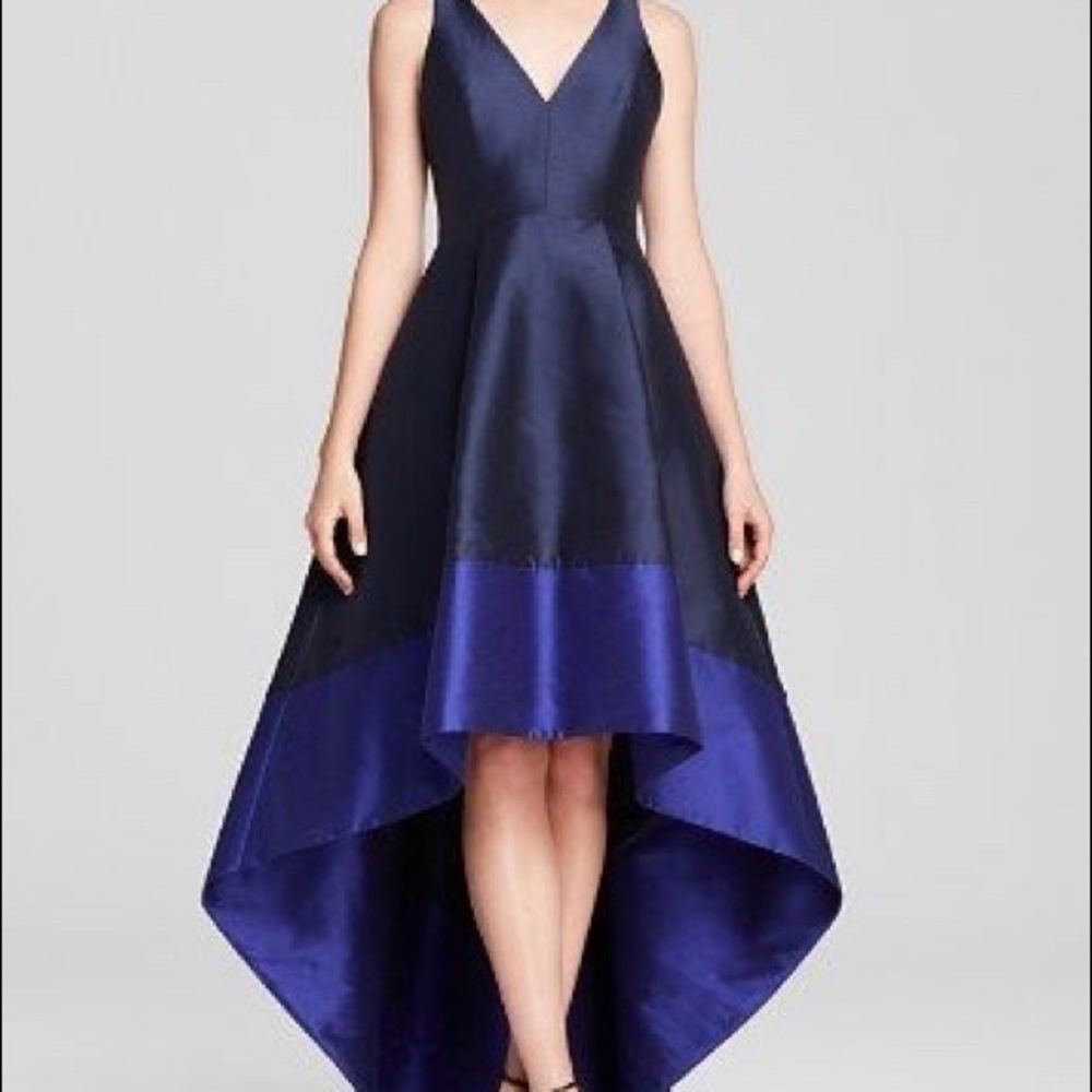 Monique Lhuillier Blue Gown Sleeveless V-Neck